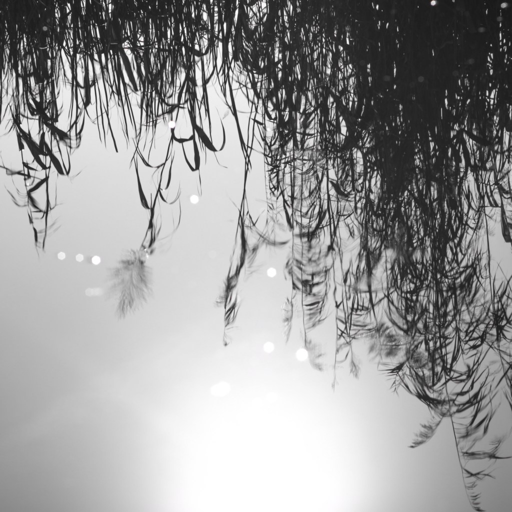 ALDOUS HUXLEY: YOU SHALL KNOW THE TRUTH AND THE TRUTH SHALL MAKE YOU&nbsp;MAD