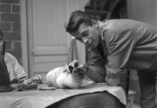 NHỮNG LỜI CHÚC TỪ JACQUES&nbsp;BREL